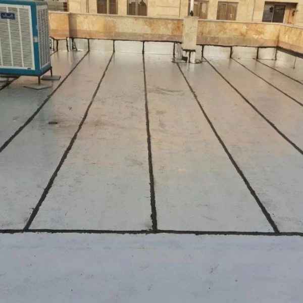 1700467206900.webp