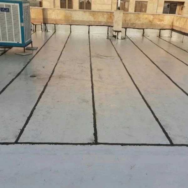 1700467206900.webp