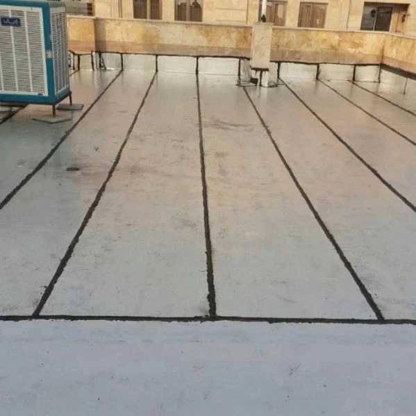 1702371741794.webp